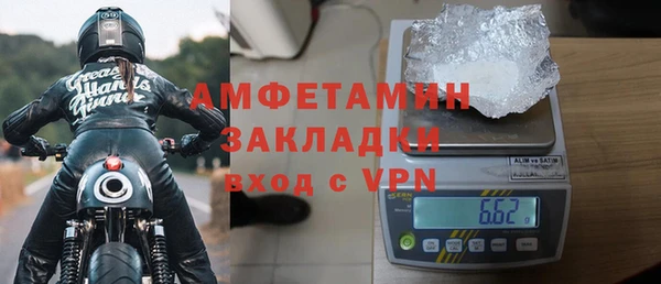 шишки Заволжье
