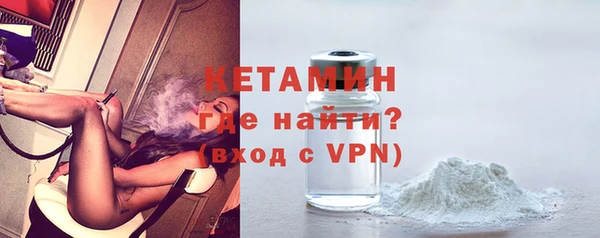 шишки Заволжье