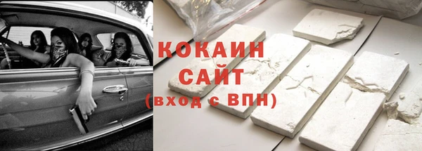шишки Заволжье
