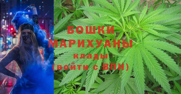 шишки Заволжье