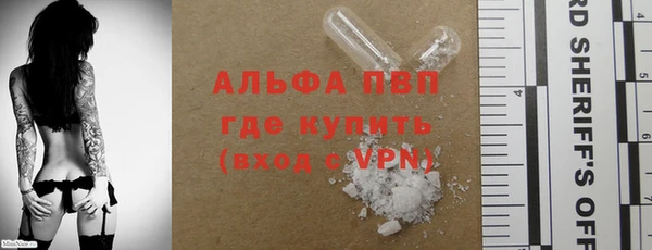 шишки Заволжье