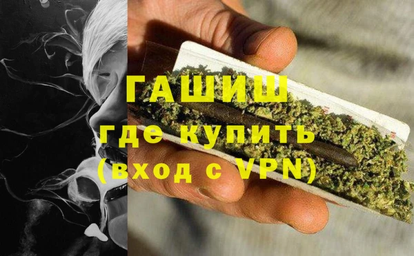 шишки Заволжье