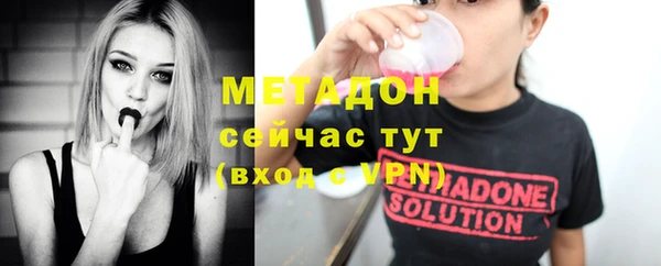 шишки Заволжье