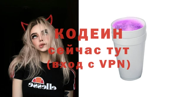 шишки Заволжье
