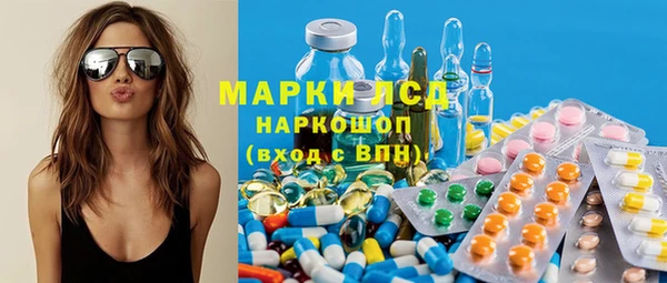 шишки Заволжье