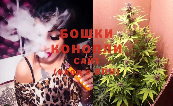 шишки Заволжье